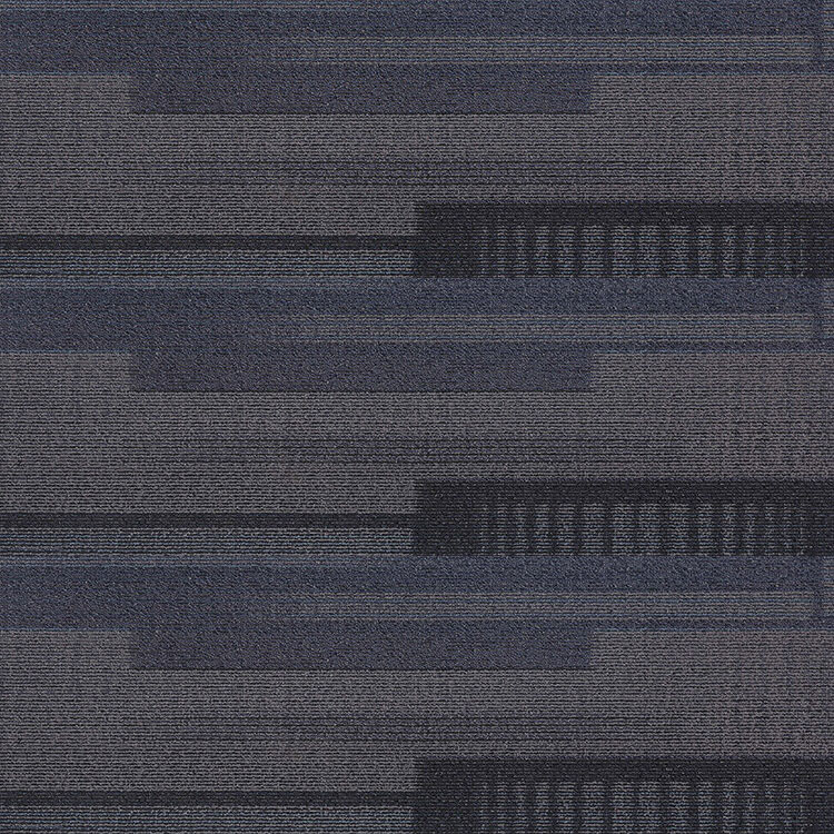Dedication North Sea 712 019 Swatch