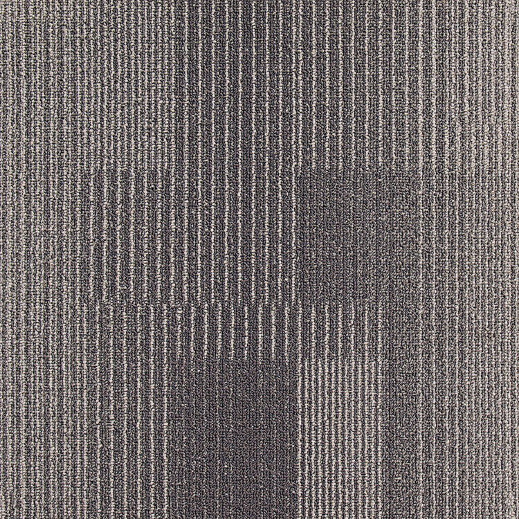 Development Gunmetal 811 010 Swatch