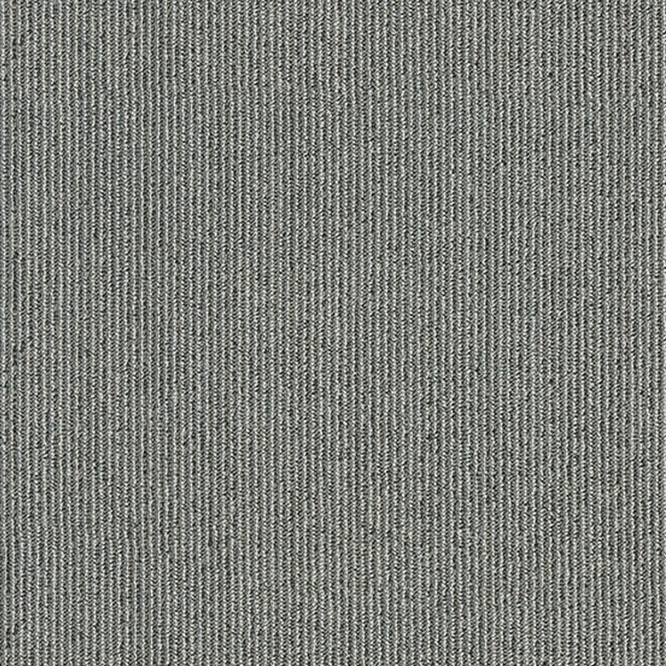 Pinstripe Silver Coin 877 021 Swatch